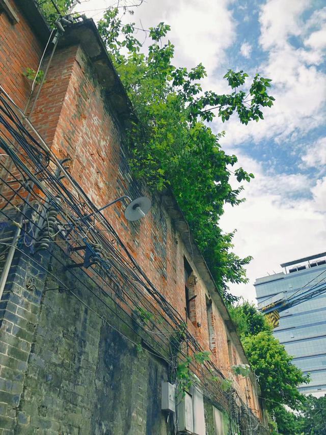 广州北京路步行街有什么好玩的，广州北京路一日游最佳路线（很多人错过这条古色古香的市井小巷）