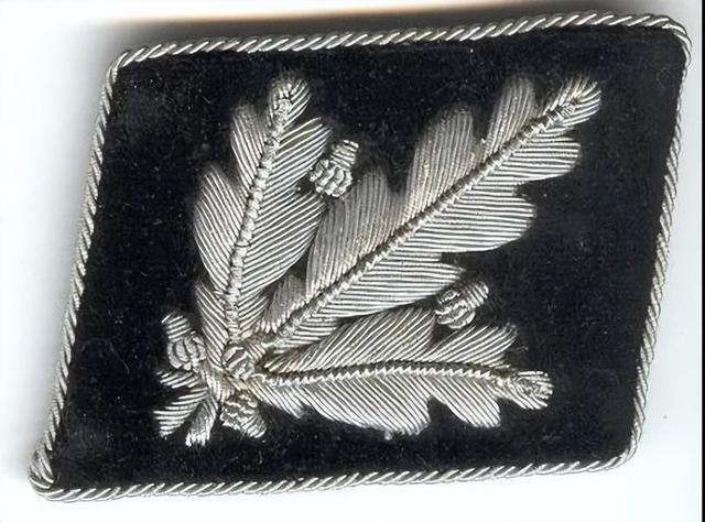 三星两杠什么军衔，关于军衔等级介绍（二战德国党卫军军衔简介）