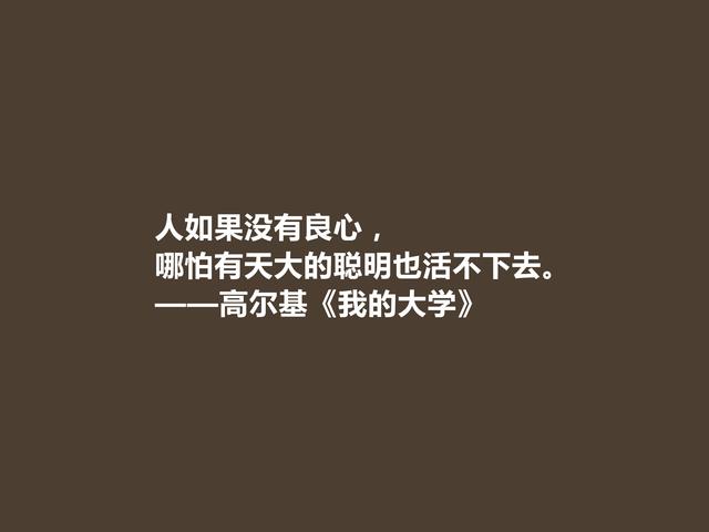 高尔基的名言，高尔基的名言关于读书（名作《我的大学》十句格言）