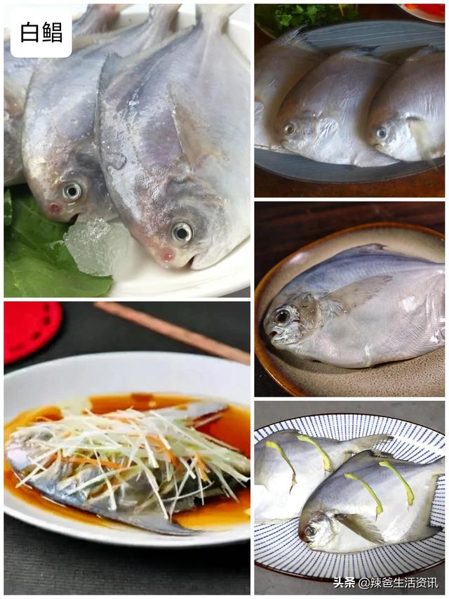 简单又好做的海鲜，这10种海鲜如何加工