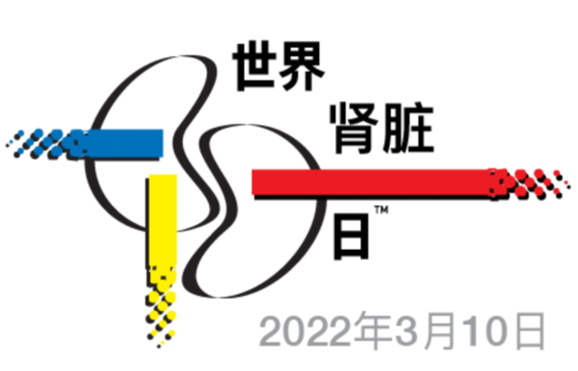 肾脏在人体的位置图片，肾在哪个位置图（世界肾脏日丨出现这些症状）