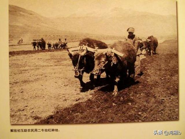 抬杠一词是怎么来的，抬杠的是什么（话说“抬杠”——有多少人还记得）