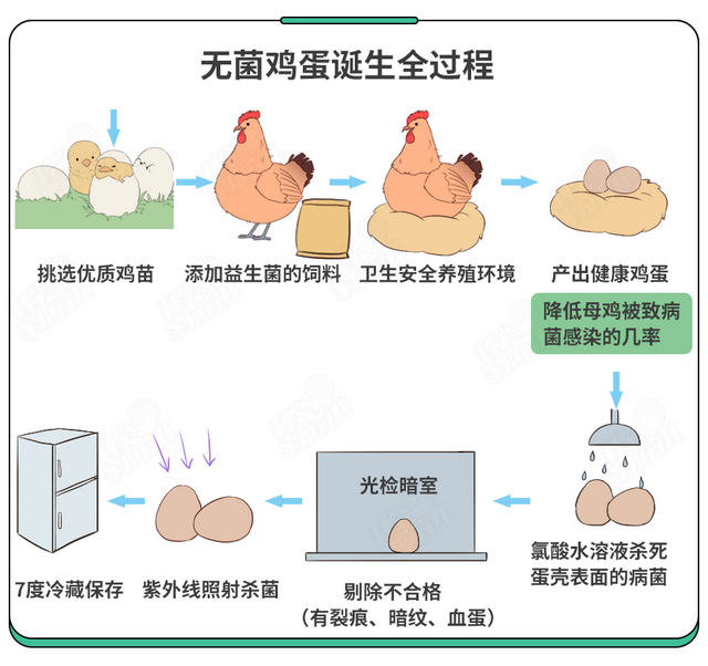 刚孵出来的小鸡怎么养，刚孵化的小鸡怎么养（抽检出抗生素超标）