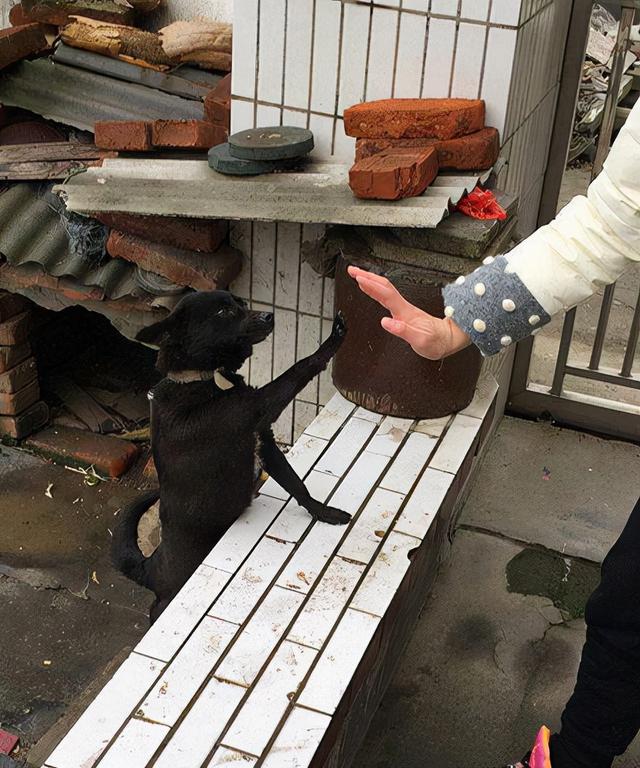 妹妹你坐船头哥哥我岸上走网名，妹妹你坐船头哥哥我岸上走微信昵称（那些笑掉大牙的搞笑图片哈哈哈哈）