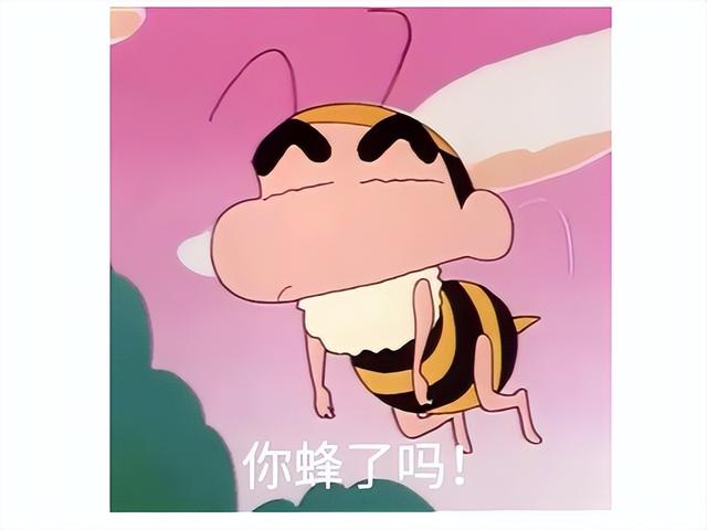 外服游戏资讯，魔兽全家桶国服停运第二天