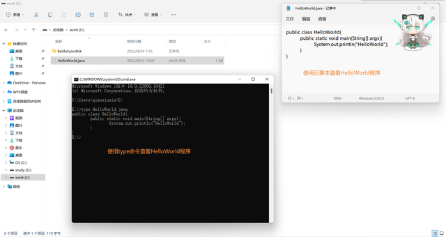 如何使用dir命令显示所有文件，dir命令格式（Windows11的基本使用）