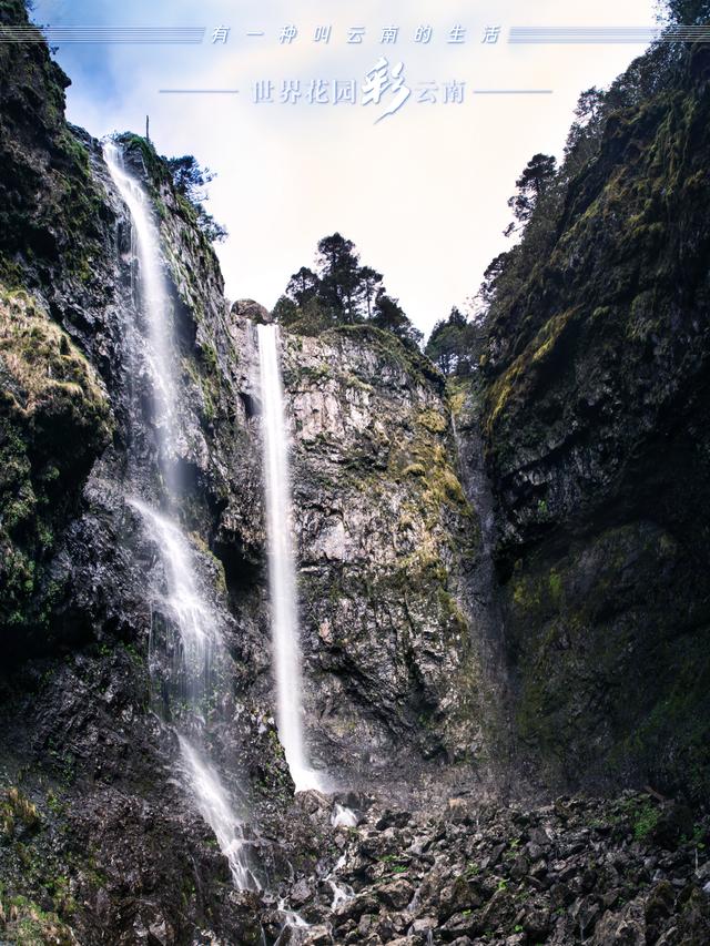 滇中第一山轿子雪山，轿子山雪山（世界花园彩云南丨轿子雪山）