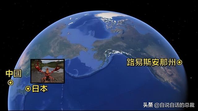 小龙虾属于海鲜类吗，小龙虾是海鲜吗（龙虾：从小龙虾到大花龙）