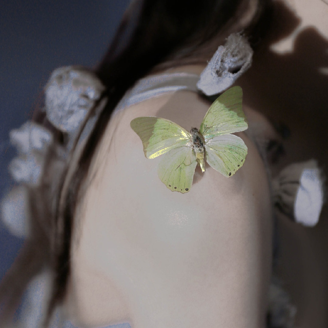 我的爱只为你存在，杨宗纬我的爱只为你存在（爱意满满的文艺小情话）