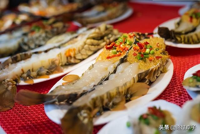 粤南地区包括哪些城市，珠三角是指哪几个城市（藏着百年法租界和石头海）