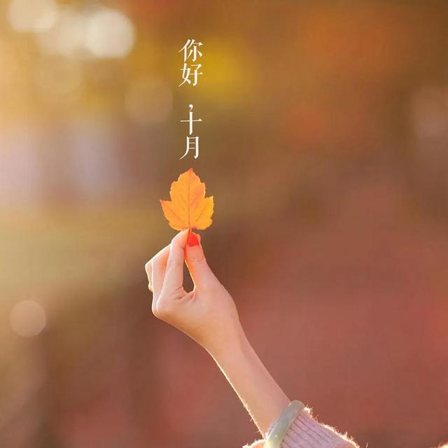 新的一年唯美句子,新的一年的唯美句子(十月你好唯美祝福句子美好文案