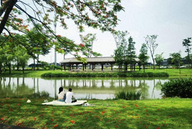 广州地铁直达的湿地公园，初夏绿意盎然，露营野餐好地方，无门票