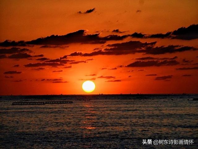 夕阳余晖的唯美诗句，落日余晖的唯美诗句（蝶恋花•落日感怀）
