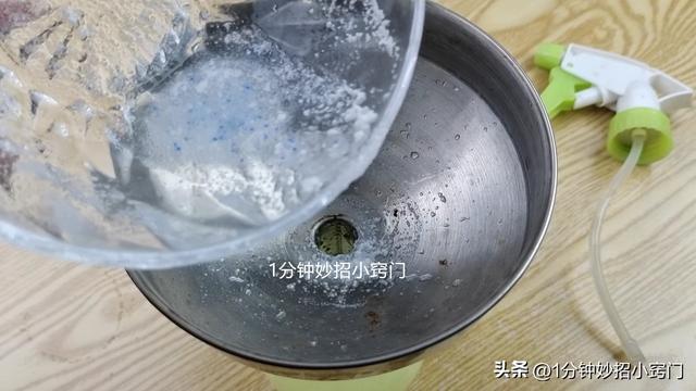 蚂蚁怎么能彻底消灭，花盆里蚂蚁怎么能彻底消灭（家里的蚂蚁连窝端）