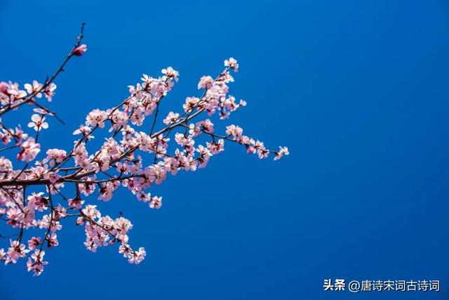 正月里来是新年，正月里来是新年啊大年初一头一天是什么歌（正月里来是新春）