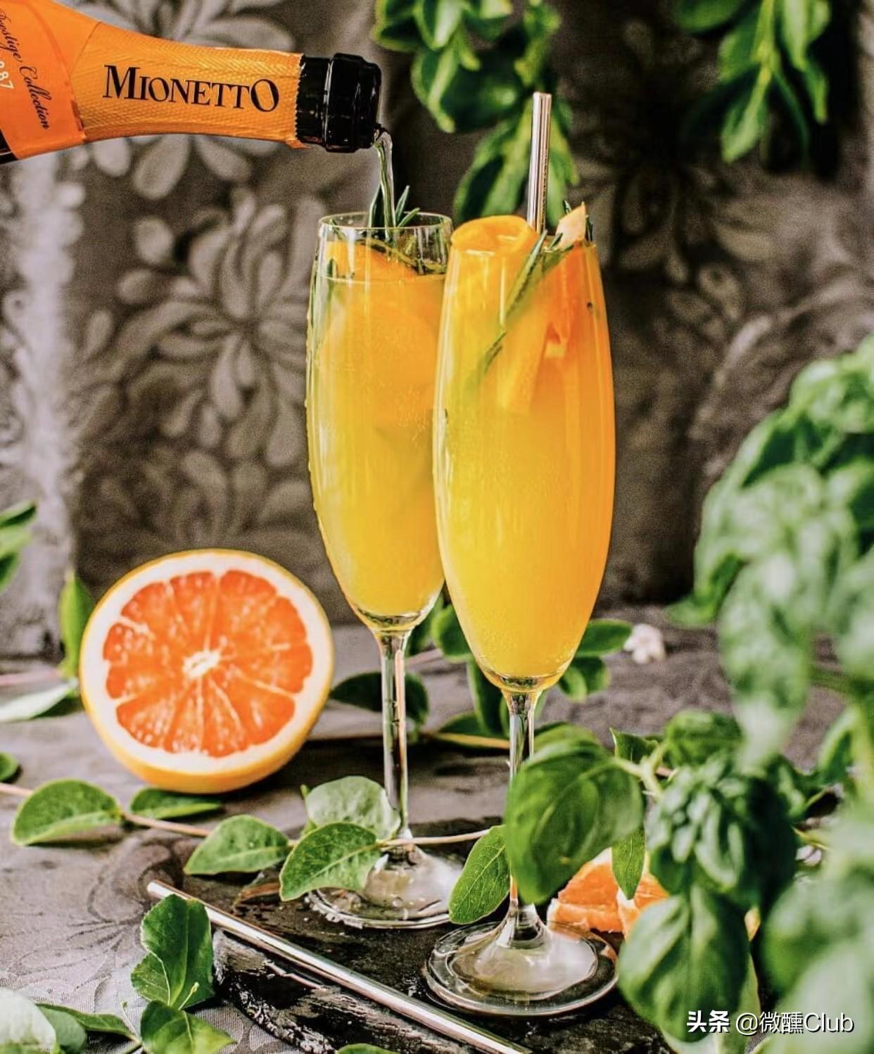 1,女神含羞草(mimosa)