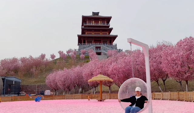 郑州樱花园在哪里，去郑州看樱花哪里好（郑州适合春天适合带孩子玩的宝藏地）