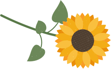 橙花精油的功效与用法，茉莉精油的功效与用法（不同类型老师适合的精油香气推荐）