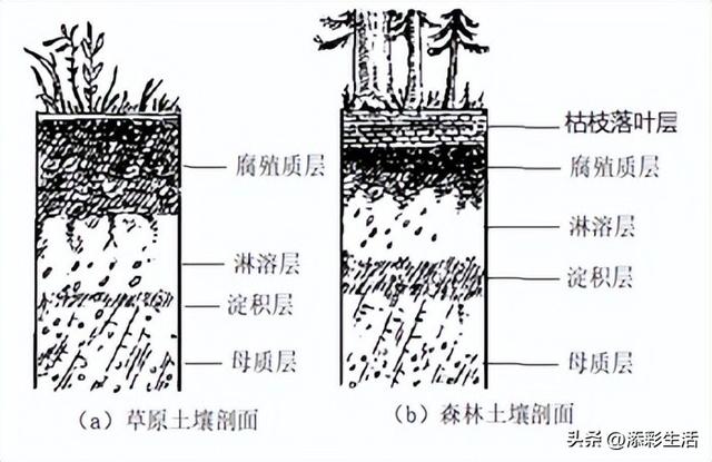 世界上有趣的地理知识，世界有趣的地理小知识（图解地理，地理知识，高清图解）