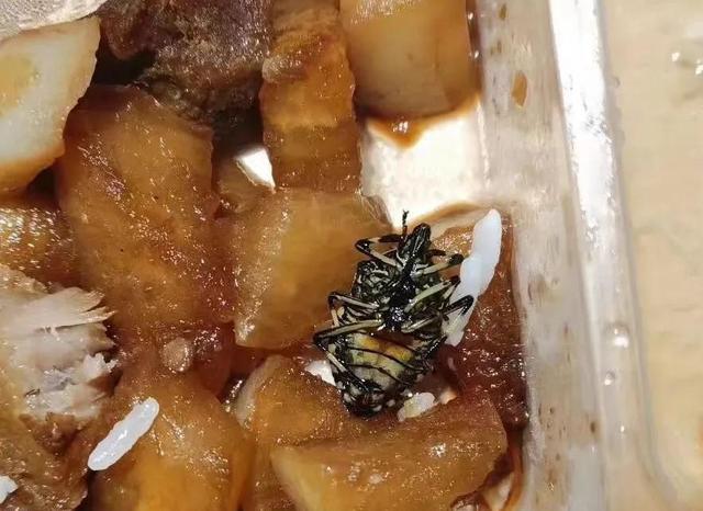 65472什么梗，65472是什么意思（网友：这是最高级的阴阳怪气）