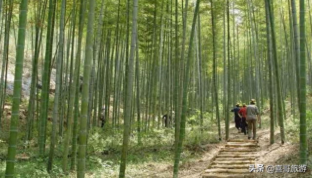 徂徕山旅游景点介绍