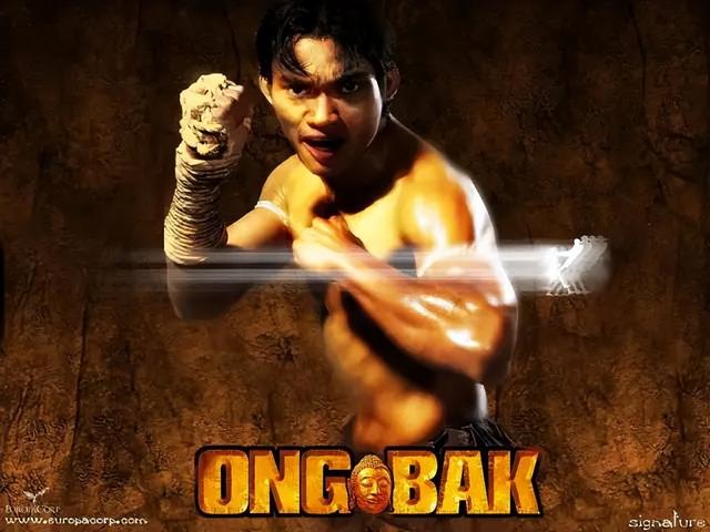 国内华语十部必看动作电影，近20年“最具实战观赏性”10部动作片