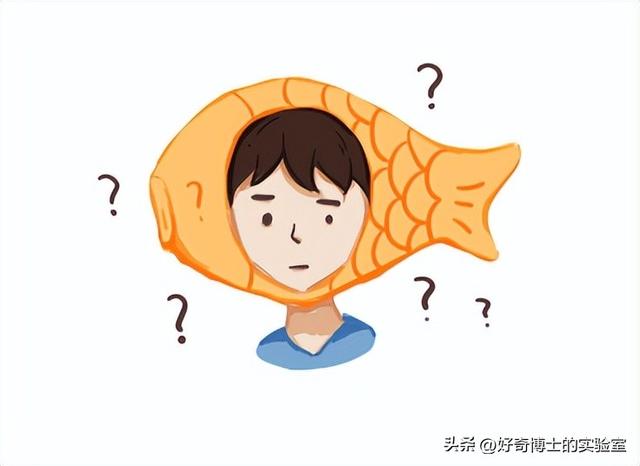 lsp是什么意思啊，lsp是什么意思（为什么会变得充满诱惑）