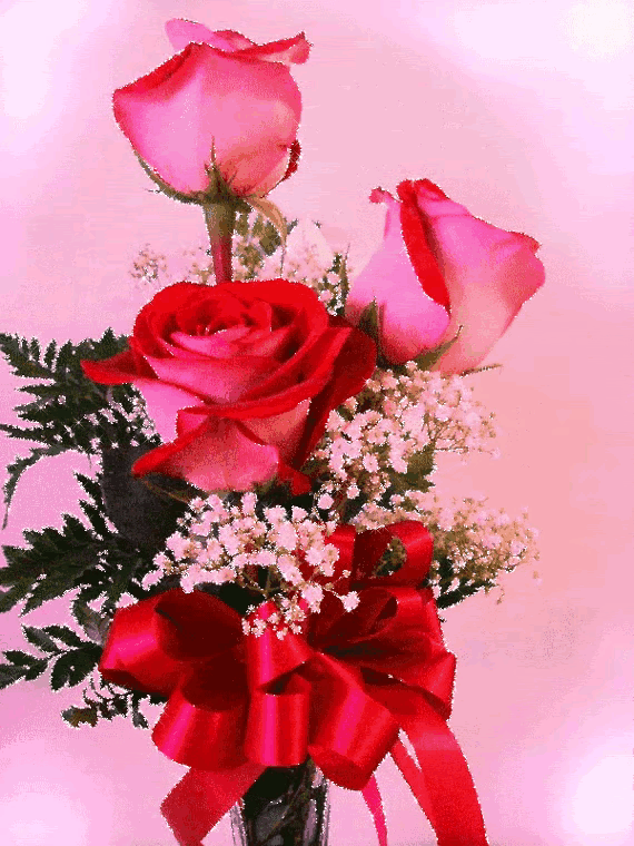 999朵玫瑰,送你999朵动态玫瑰花(999朵玫瑰邰正宵)