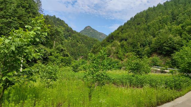 陕西省十大避暑山，地处秦岭山区的陕南比西安还要热