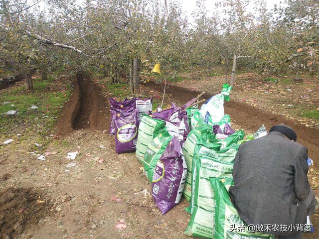 硫酸钾复合肥，氯化钾、硫酸钾、硝酸钾（硫酸钾复合肥15-15-15多少钱一吨）