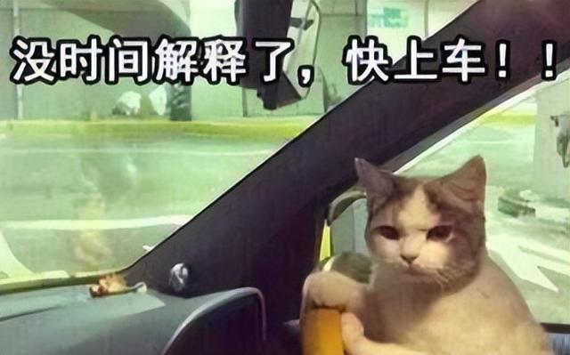 b站是什么网站，哔哩哔哩是一个什么样的网站（B站果然是个成人学习网站）