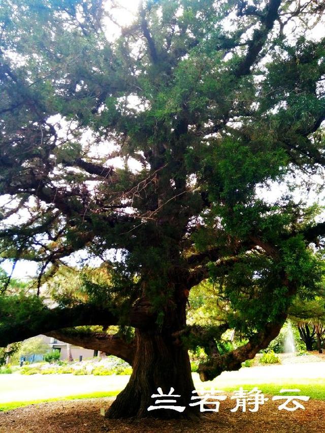 澳大利亚旅游景点，澳大利亚旅游景点英文（澳洲悉尼市区的几个大众化景点）