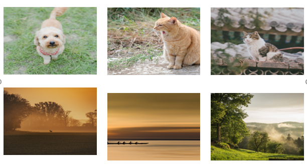 ppt比例设置在哪里，如何更改PPT幻灯片画面显示比例（图片大小不统一用PPT就能一键统一图片尺寸）