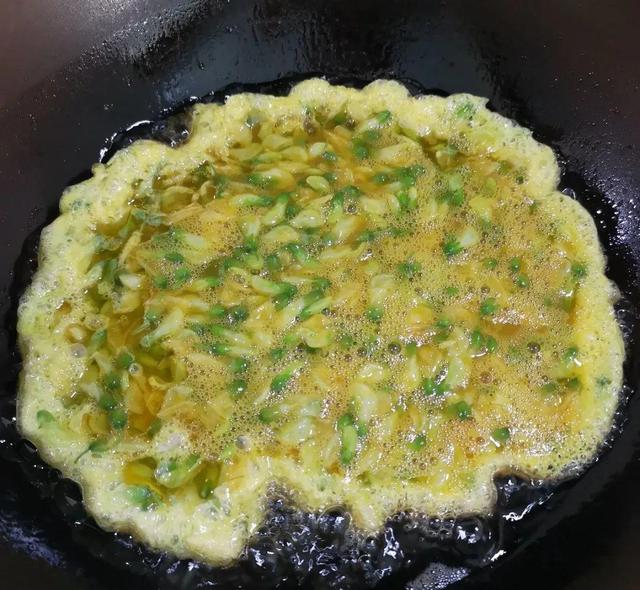 金针菜是什么，都是“人间美味”（金针菜是什么菜图片）