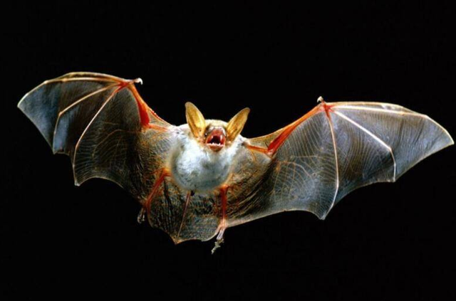 非典各省感染人数是多少，非典全国感染多少人（2003年的非典让人胆寒）