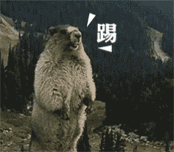 土拨鼠尖叫表情包，土拨鼠尖叫表情包在哪里下啊（土拨鼠暴走大叫的表情包）