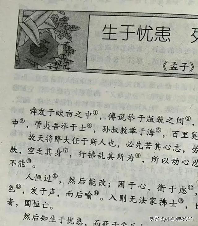 不接受8023是什么网络用语，接受婚检不接受8023是什么意思（“斯人”与“是人”之争是教材问题）
