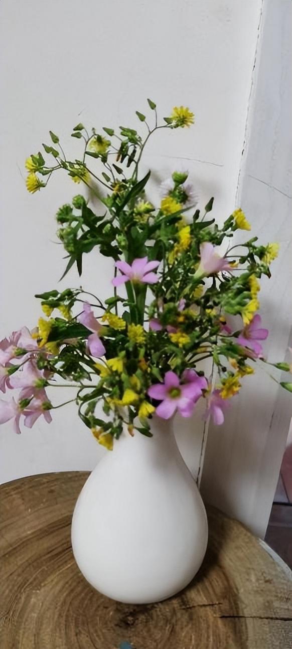 生日送什么礼物好，老人生日送什么礼物好（他都送你啥礼物）