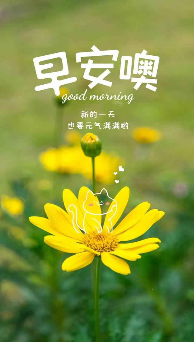 工作励志正能量文案，正能量满满的励志句子有哪些（早安心语，正能量努力工作文案）