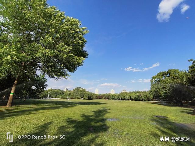 oppo研发的马里亚纳芯片拍照效果，X加持画质更出色