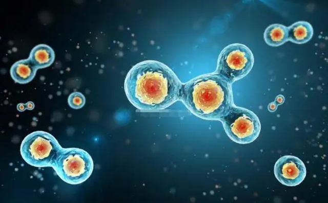 2003年非典多少人感染，2003年非典感染人数是多少（2003年让人胆寒的非典）