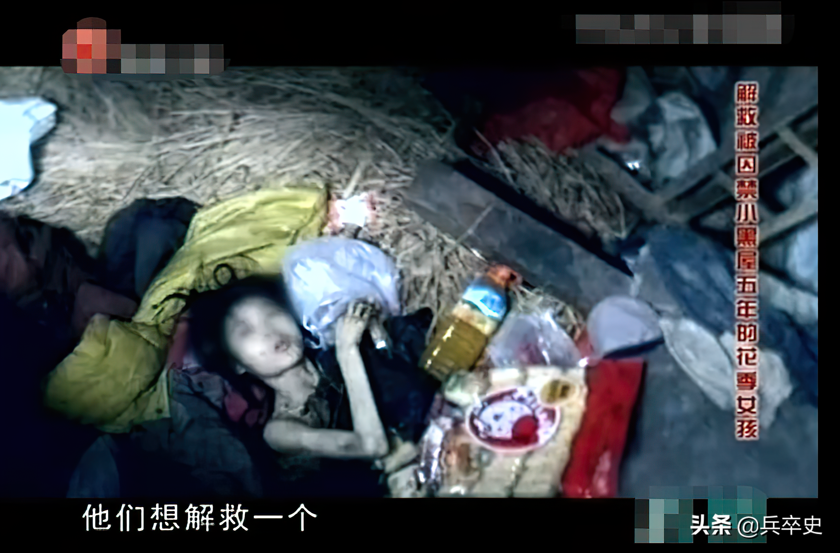 安康高新国际中学校花（2015年）