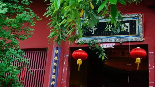 千佛山森林公园，千佛山在哪（不收门票的5个成都周边“小森林”）