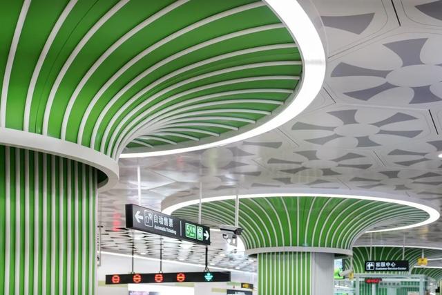 豹龟结石，昆明地铁5号线，首！发！见（肾结石会有啥症状）