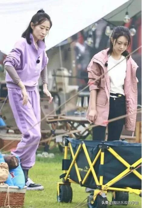 《花儿4》全体员工官宣！手绘诗词上阵，杨幂表情包晒心情