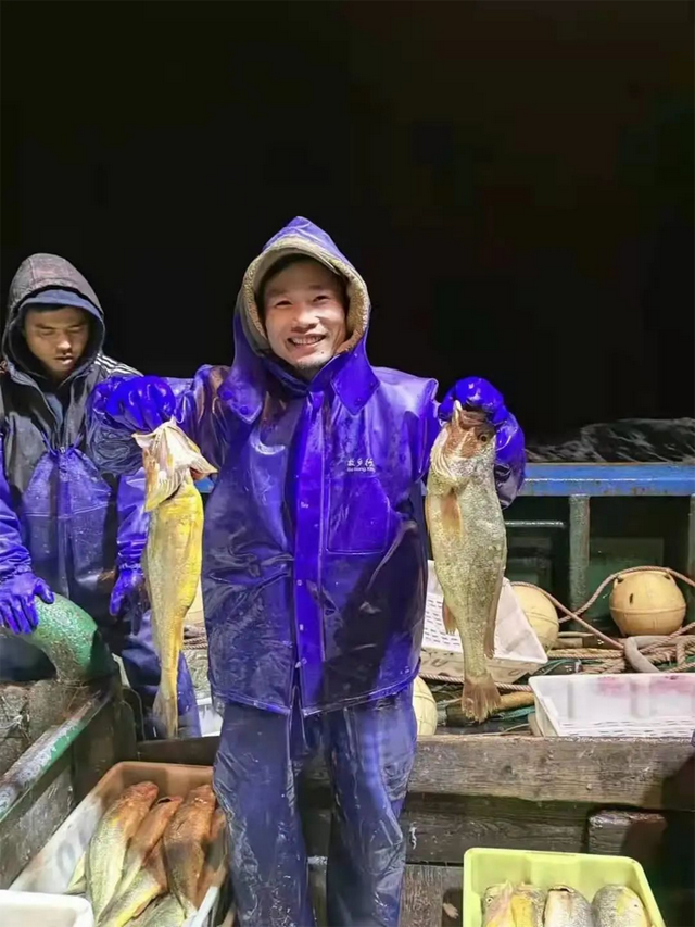 大黄鱼（大黄鱼图片，7.1斤大黄鱼4.2万（大小黄鱼图片）