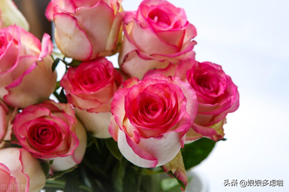情人节什么时候(2022年情人节七夕节是哪一天)