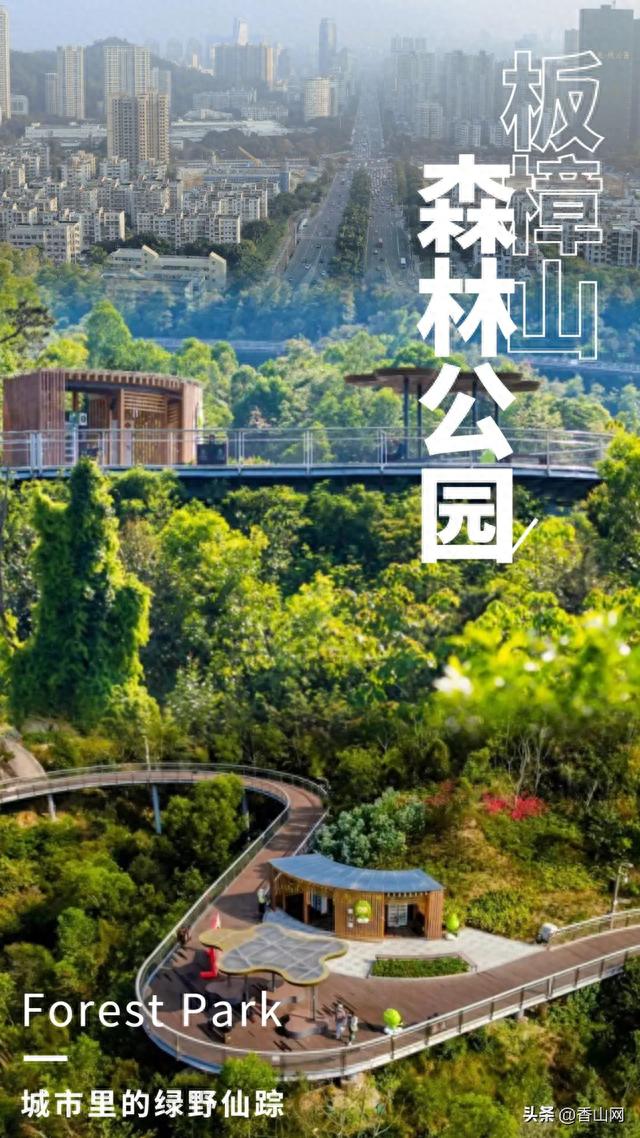 珠海有个建在山上的公园，能看见澳门和港珠澳大桥