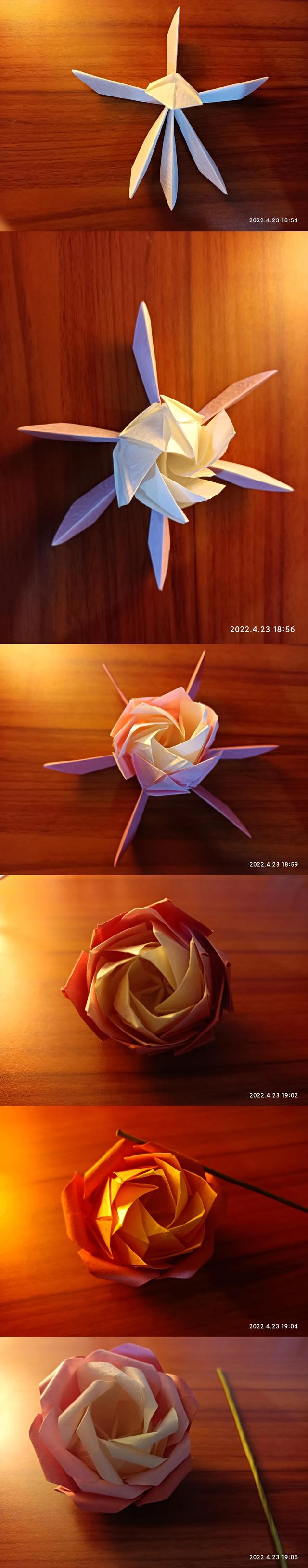 玫瑰花怎么折最简单的折法，玫瑰花怎么折最简单的折法,用卫生纸（漂亮的玫瑰花手工折纸教程）