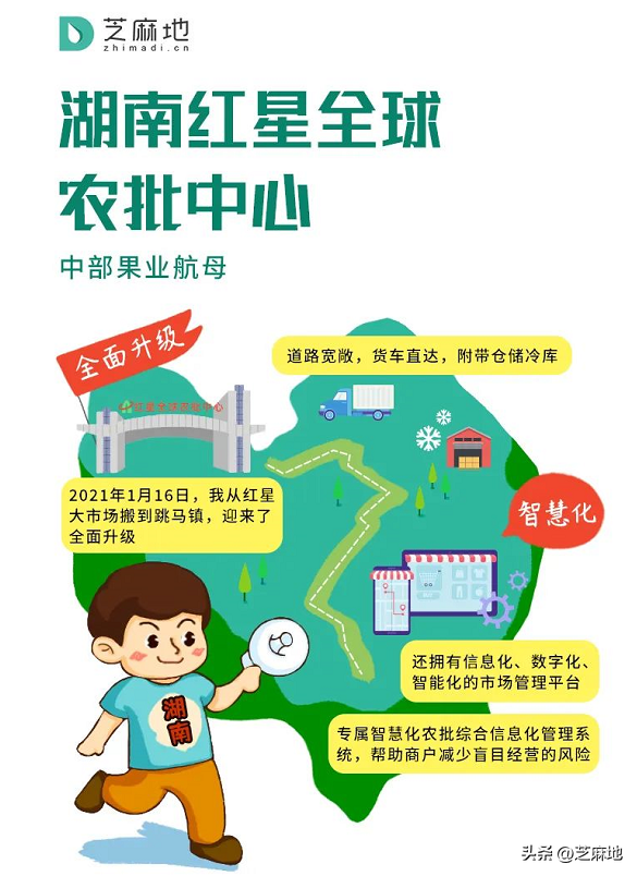 下桥水果批发市场，龙眼或者桂圆肉的产地在哪里（这10个市场表示不服）